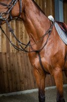 Dyon Ring Martingale WC