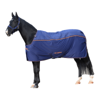 Bucas Magnetic Field Blanket Therapy Cooler