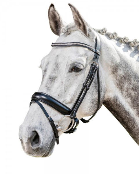 Prestige Italia Snaffle E134 Swedish Combined