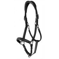 Dyon Leather Transport and Stable Headcollar WC
