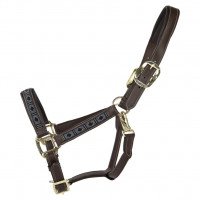 Kentucky Horsewear Halter Pearls, synthetic leather