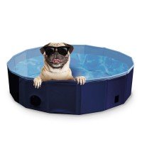 Nobby Dog ​​Pool, including Cover
