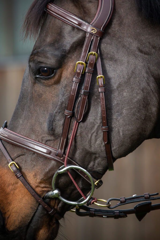 Dyon Gag Cheek Pieces DC Fundis Equestrian