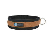 Annyx Dog Collar Plug-in Collar Fun & Protect Annyx Dog Collar Plug-in Collar Fun & Protect