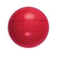 KONG Dog Doy Ball