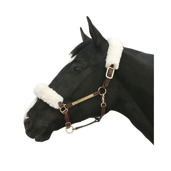 Back on Track Halter Cover Set