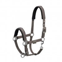 Eskadron Nylon Halter Pin Buckle Classic Sports SS22 Eskadron Nylon Halter Pin Buckle Classic Sports SS22