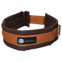 Annyx Dog Collar Plug-in Collar Fun & Protect