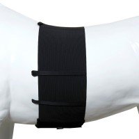 One Equestrian Spore Protection Belt