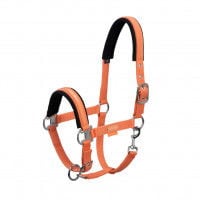 Eskadron Nylon Halter Pin Buckle Classic Sports SS22 Eskadron Nylon Halter Pin Buckle Classic Sports SS22