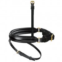 Passier Interchangeable Noseband Swedish Special with Flash Strap, Straight