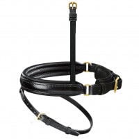 Passier Interchangeable Noseband Swedish Special with Flash Strap, Straight Passier Interchangeable Noseband Swedish Special with Flash Strap, Straight