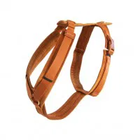 Kentucky Dogwear Dog Harness Active Velvet Kentucky Dogwear Dog Harness Active Velvet