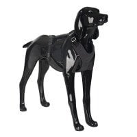 Paikka Dog Harness Visibility 