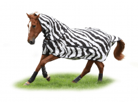 Bucas Fly Blanket Buzz-Off Zebra & Neck