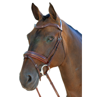 Dyon Snaffle with Combined Noseband DRC B141