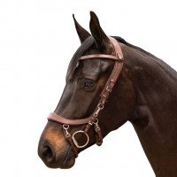 PresTeq Anatomical Special Bridle FaySport, Without Reins