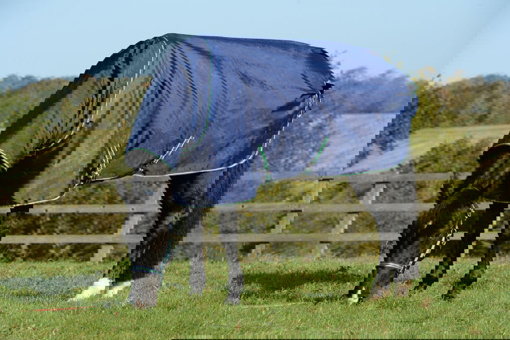 NH % WINTERSALE BUCAS Smartex Combi Neck 300g Halsteil NH % WINTERSALE BUCAS Smartex Combi Neck 300g Halsteil