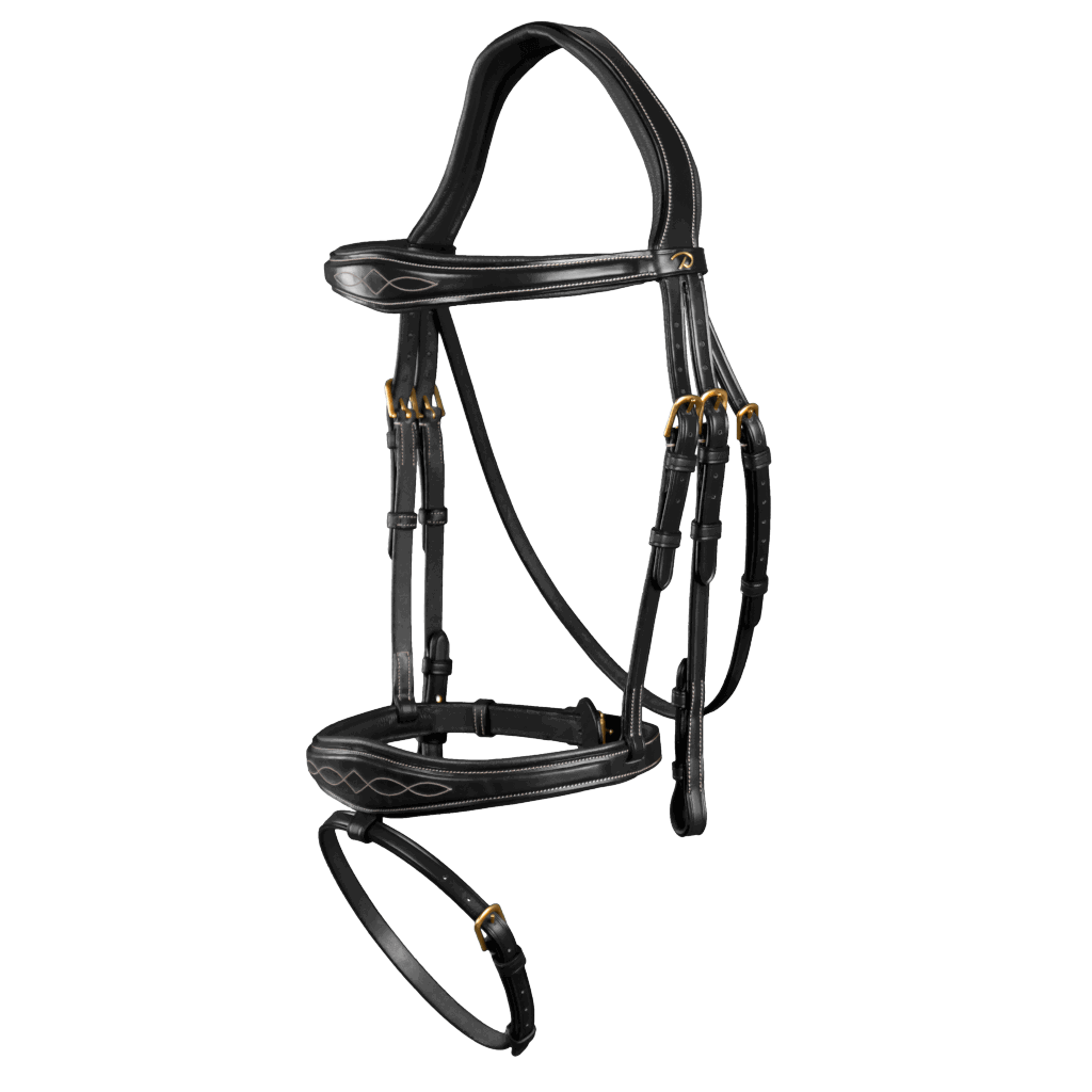 Dyon Bridle Anatomic Flash DC FUNDIS Equestrian