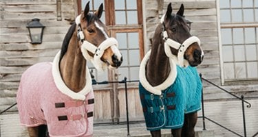 Kentucky Horsewear bandagenunterlagen establo 4er 