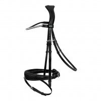 Passier Bridle with Swedish Noseband Favorite with Padded Flash Strap Eyelet