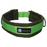 Annyx Dog Collar Plug-in Collar Fun & Protect Annyx Dog Collar Plug-in Collar Fun & Protect