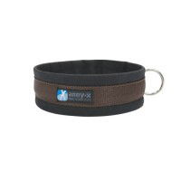 Annyx Dog Collar Plug-in Collar Fun & Protect Annyx Dog Collar Plug-in Collar Fun & Protect