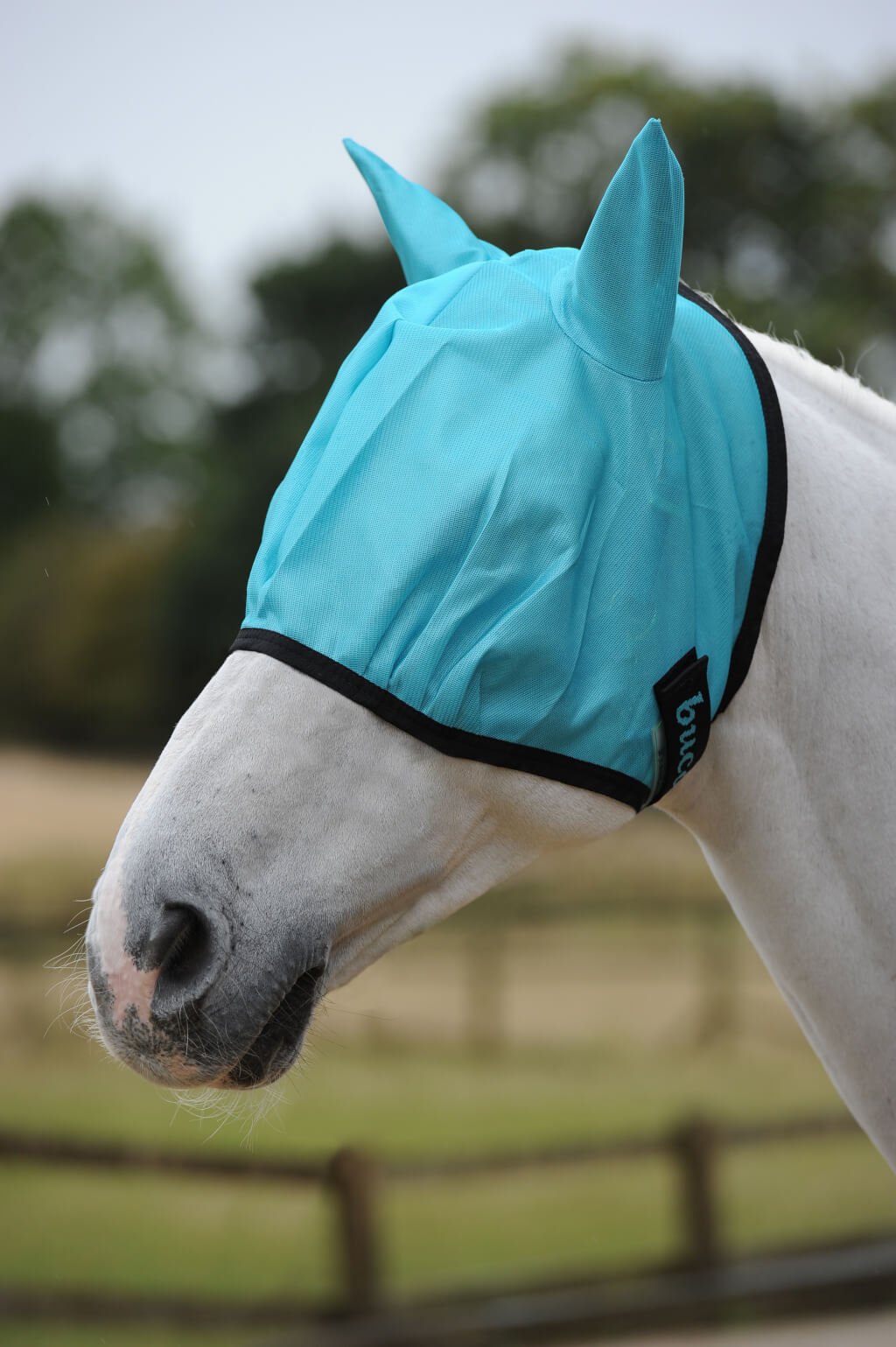 Bucas Fly Mask Hot Pink 