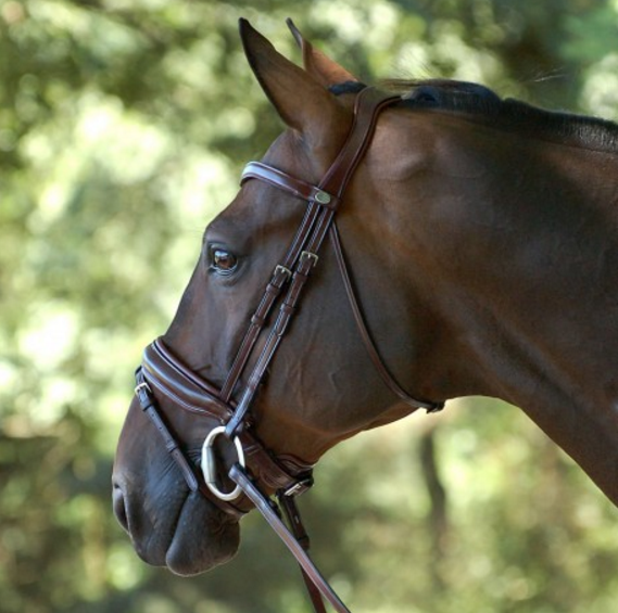 Dyon Snaffle Classic with wide Swedish noseband
