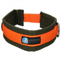 Annyx Dog Collar Plug-in Collar Fun & Protect Annyx Dog Collar Plug-in Collar Fun & Protect