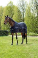 Equiline Stable Rug Reynosa SS22